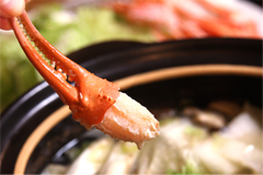 ズワイガニの食べ方