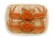 ズワイガニの部位