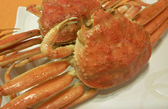 ズワイガニ全体